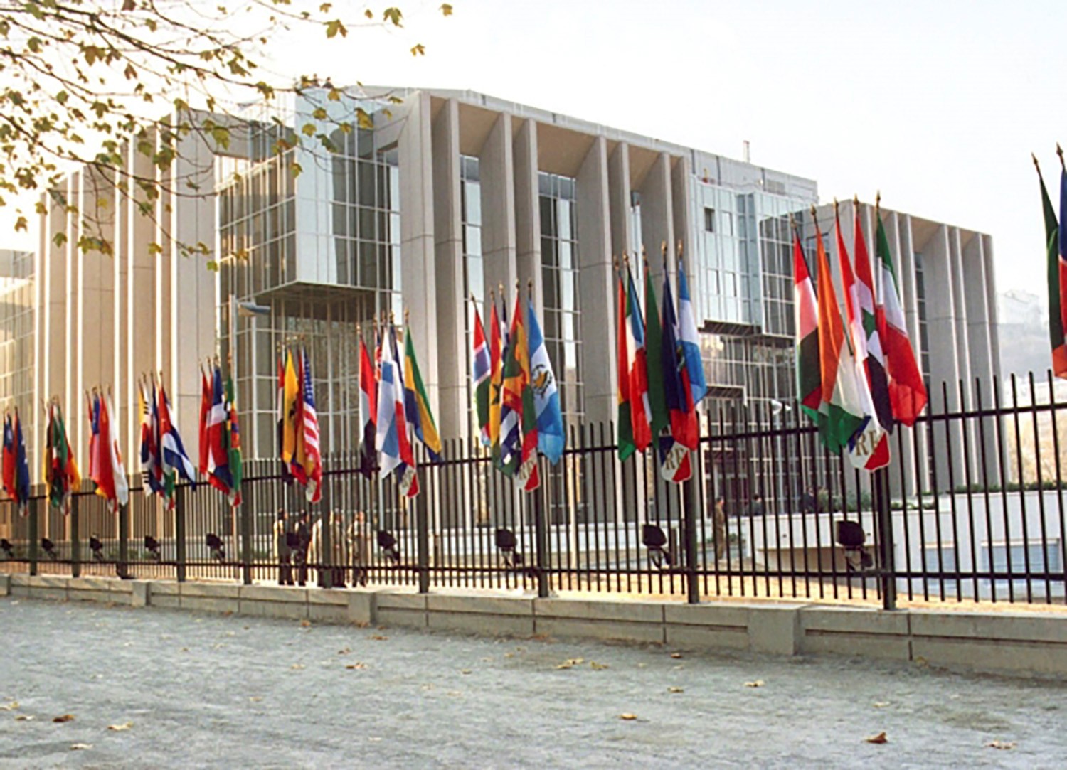 Flags of different countries in front of the Interpol office.