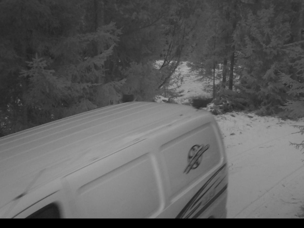 Kuvassa vaalea pakettiauto, jonka taustalla lumista metsää.
