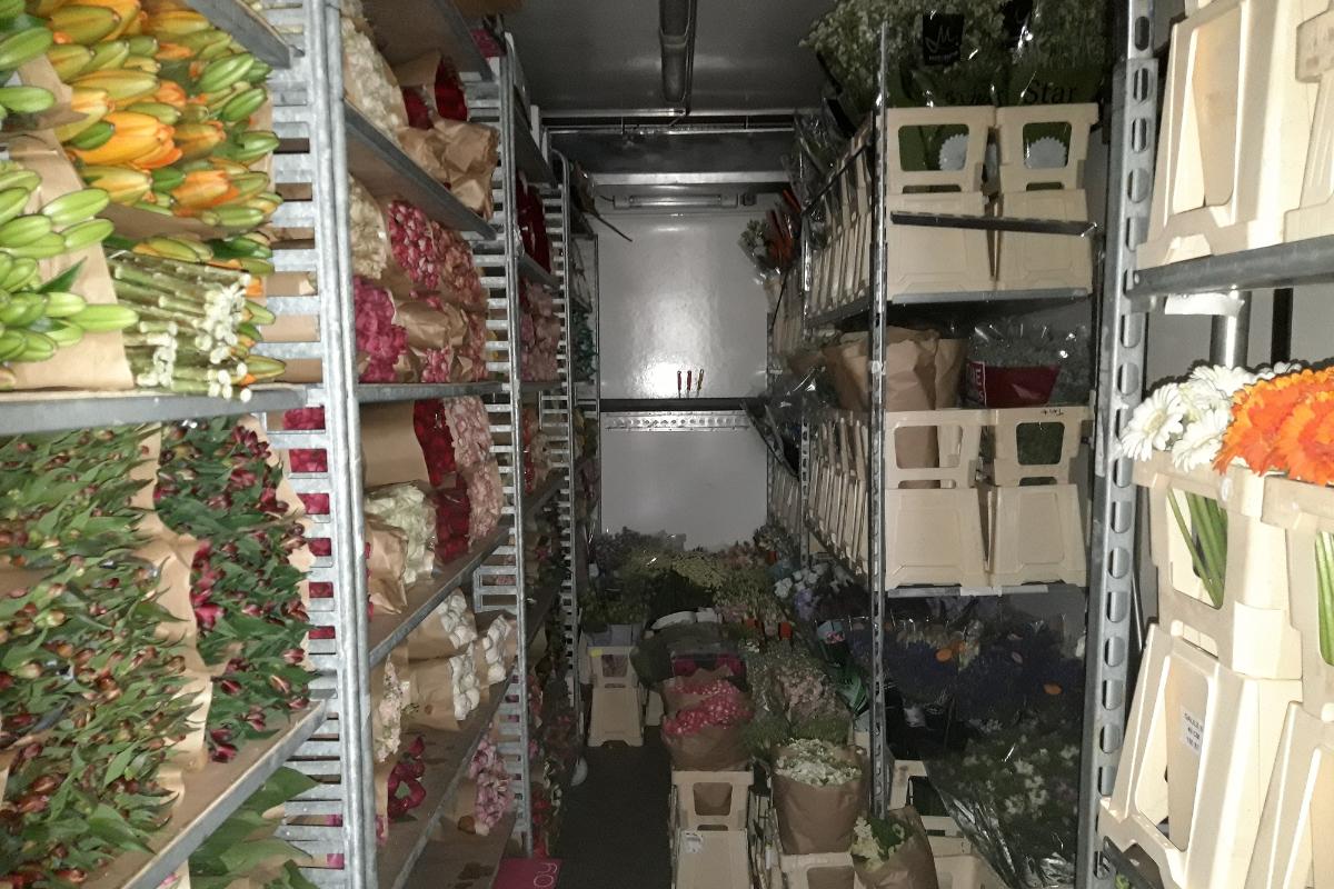 Tulppaaneita, ruusuja ja muita kukkia kuljetuslaatikoissa kuorma-auton tavaratilassa hyllyissä.