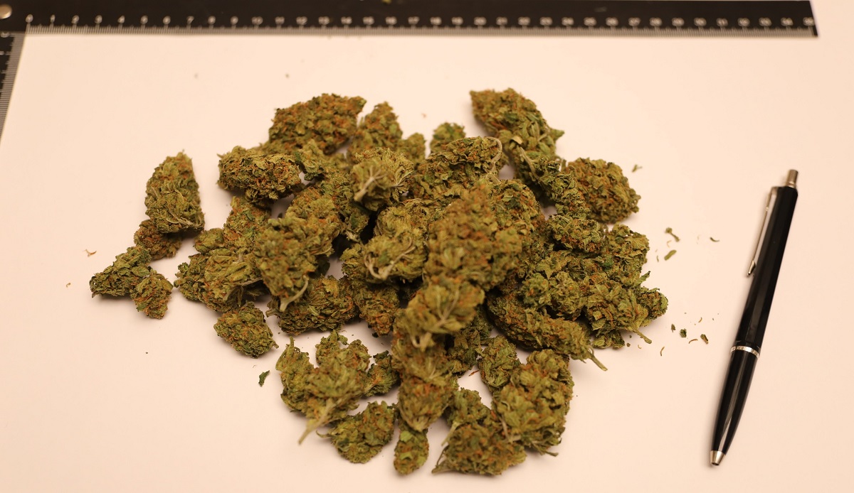 Marihuanaa valkoisella paperilla.