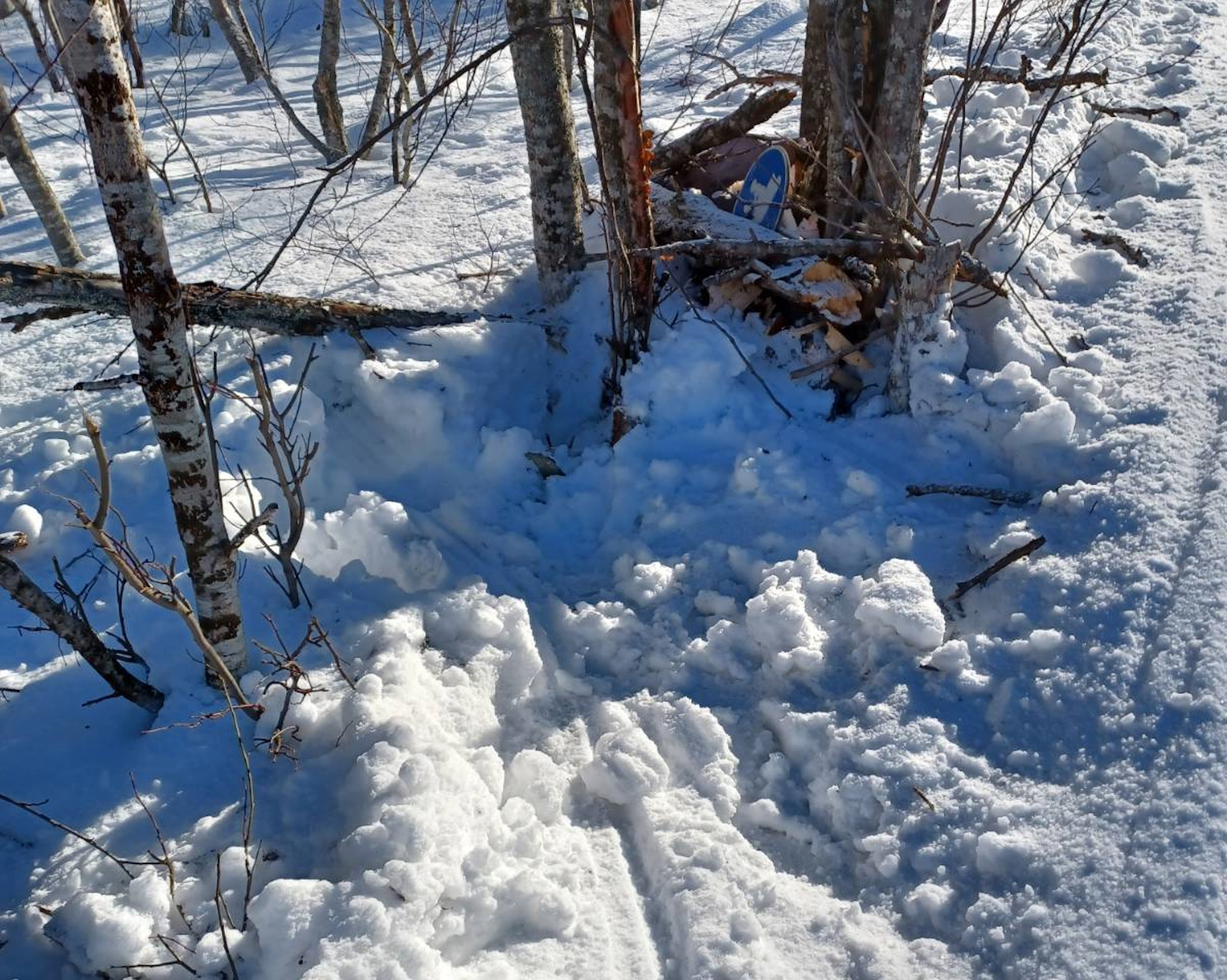 Jälki osoittaa kelkkailijan suistuneen puihin