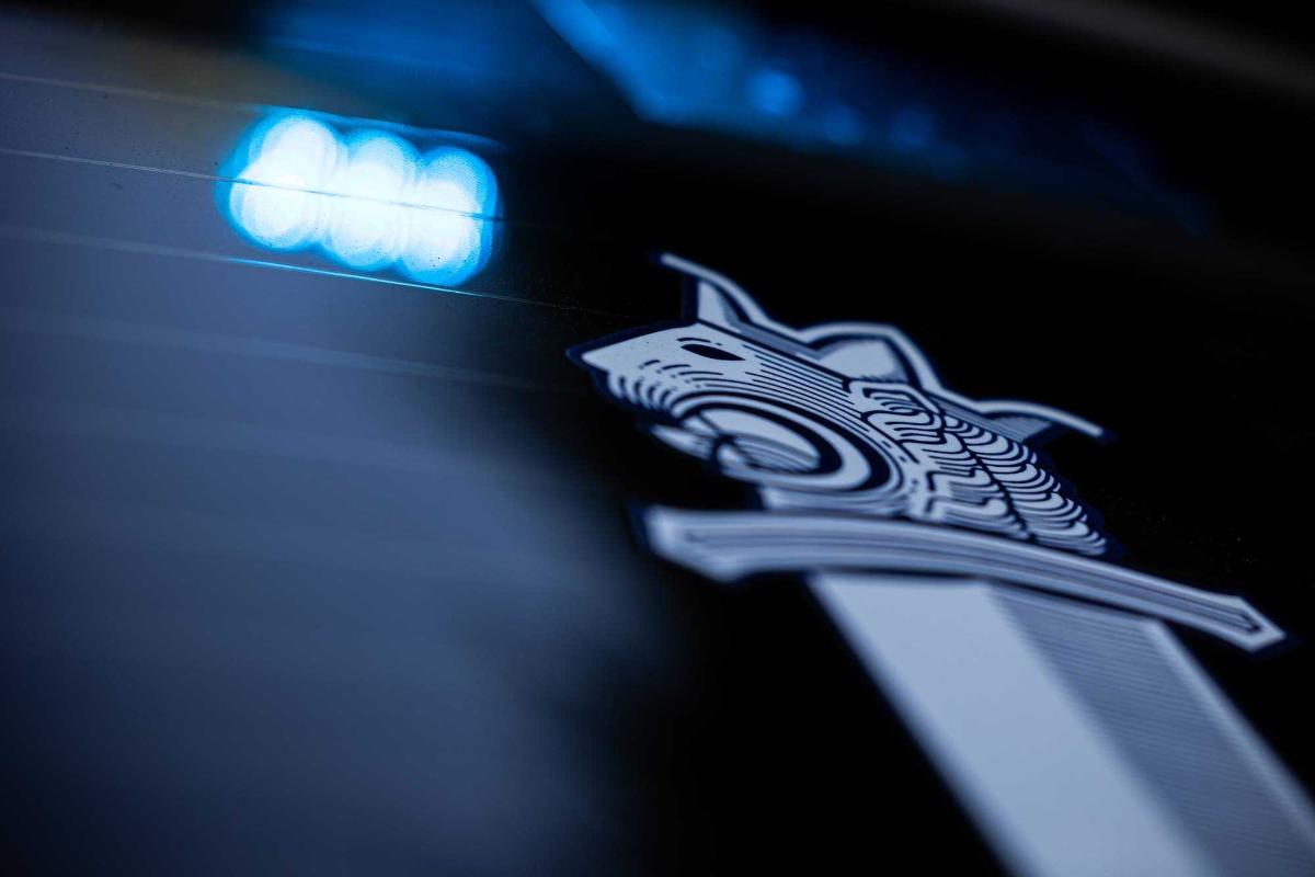 Poliisin miekkaleijona kuvituskuva.